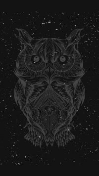 Dark Owl Wallpaper