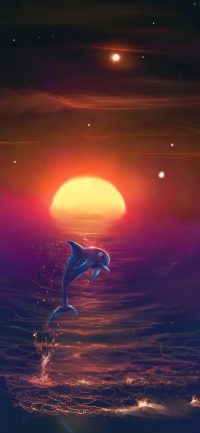 Dolphin Sunset Wallpaper