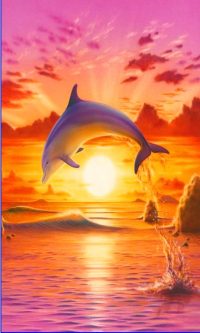 Dolphin Sunset Wallpaper 4