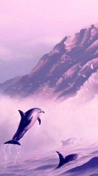 Dolphin Wallpaper 10