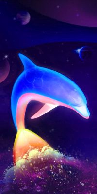 Dolphin Wallpaper 9
