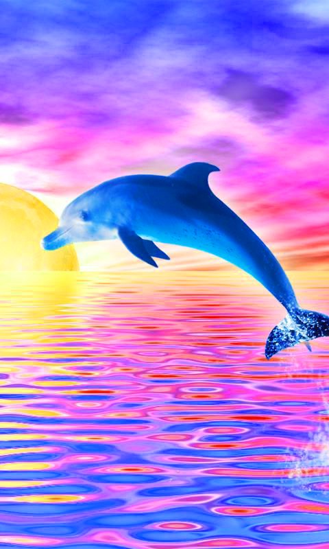 Dolphin Live Wallpaper for Android - Download | Cafe Bazaar