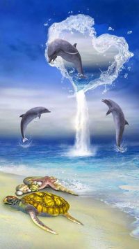 Dolphin Wallpapers