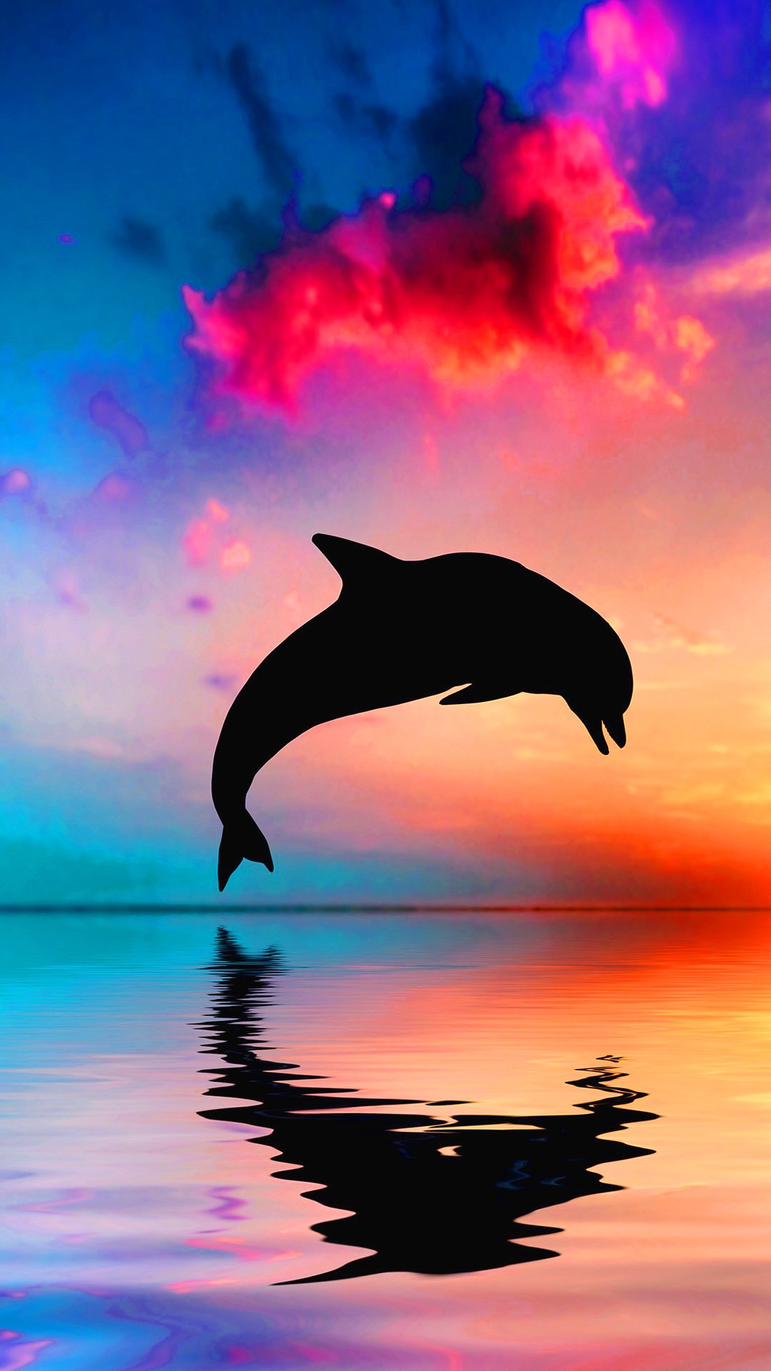Dolphin Wallpapers iPhone