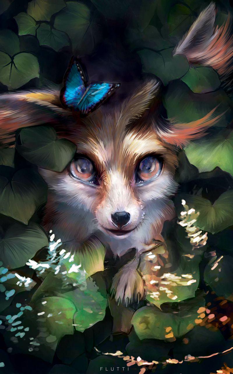 Fox Cute Wallpaper 1 Fox Cute Wallpaper 2