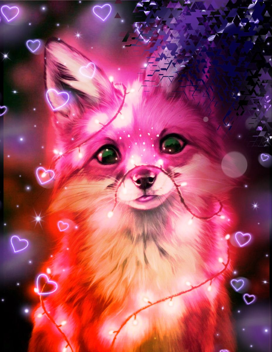 Fox Cute Wallpaper - KoLPaPer - Awesome Free HD Wallpapers
