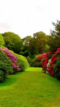 Garden iPhone Wallpaper