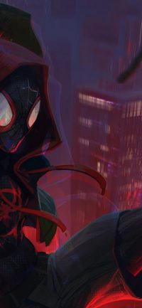 Miles Morales Wallpaper 7