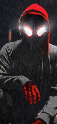 Miles Morales Wallpapers 3