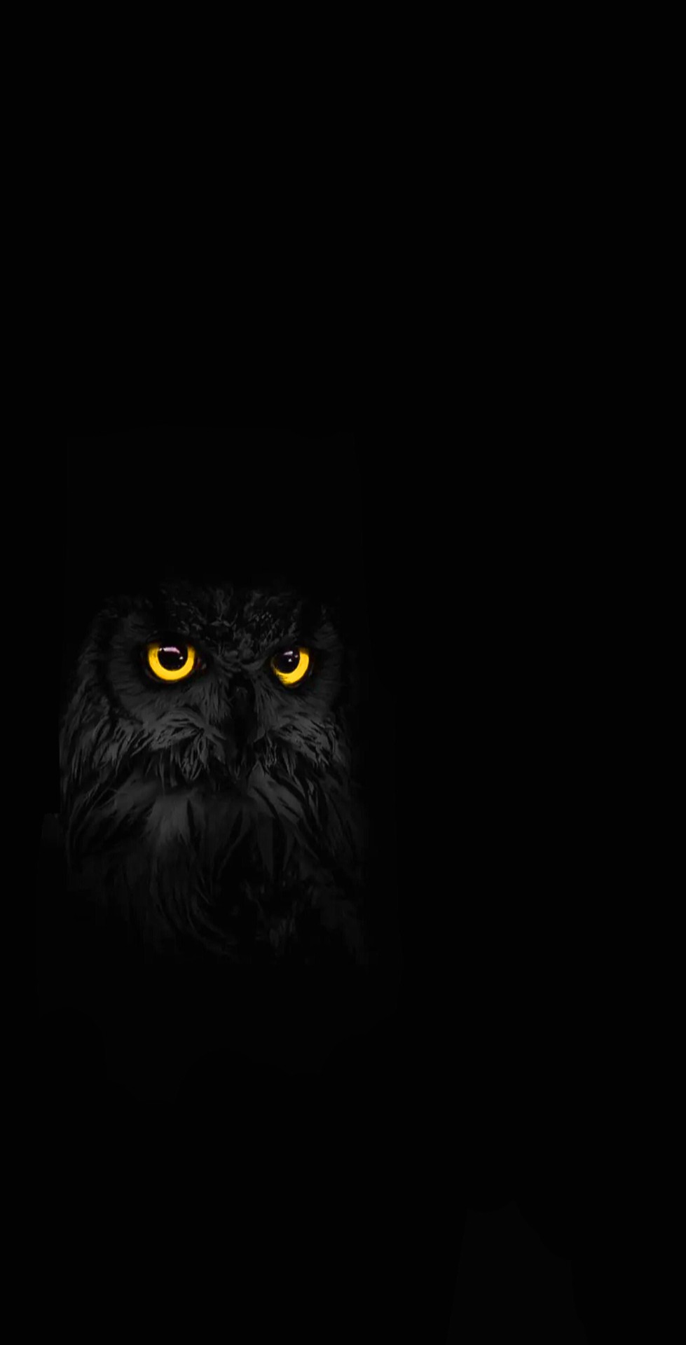 Owl Wallpapers 1 Owl Wallpapers 2