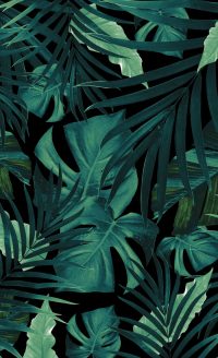 Plant Wallpaper 2