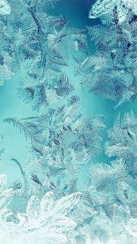Snow Flake Wallpaper