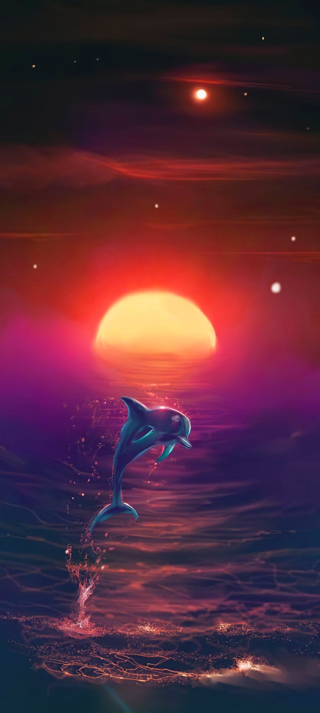 Sunset Dolphin Wallpaper 5