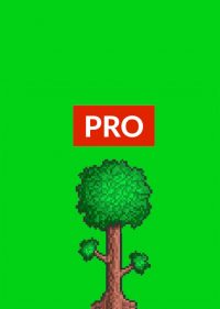 Terraria Wallpaper 11