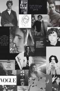 Timothee Background Image