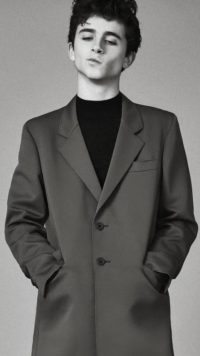 Timothee Chalamet Backgrounds
