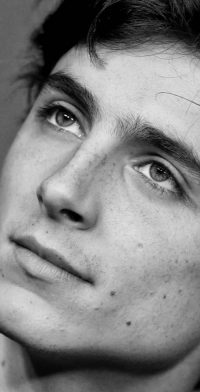 Timothee Chalamet Face Wallpaper