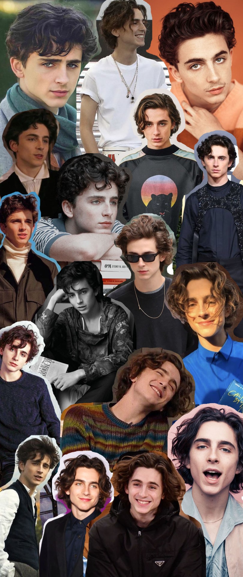 Timothee Wallpapers