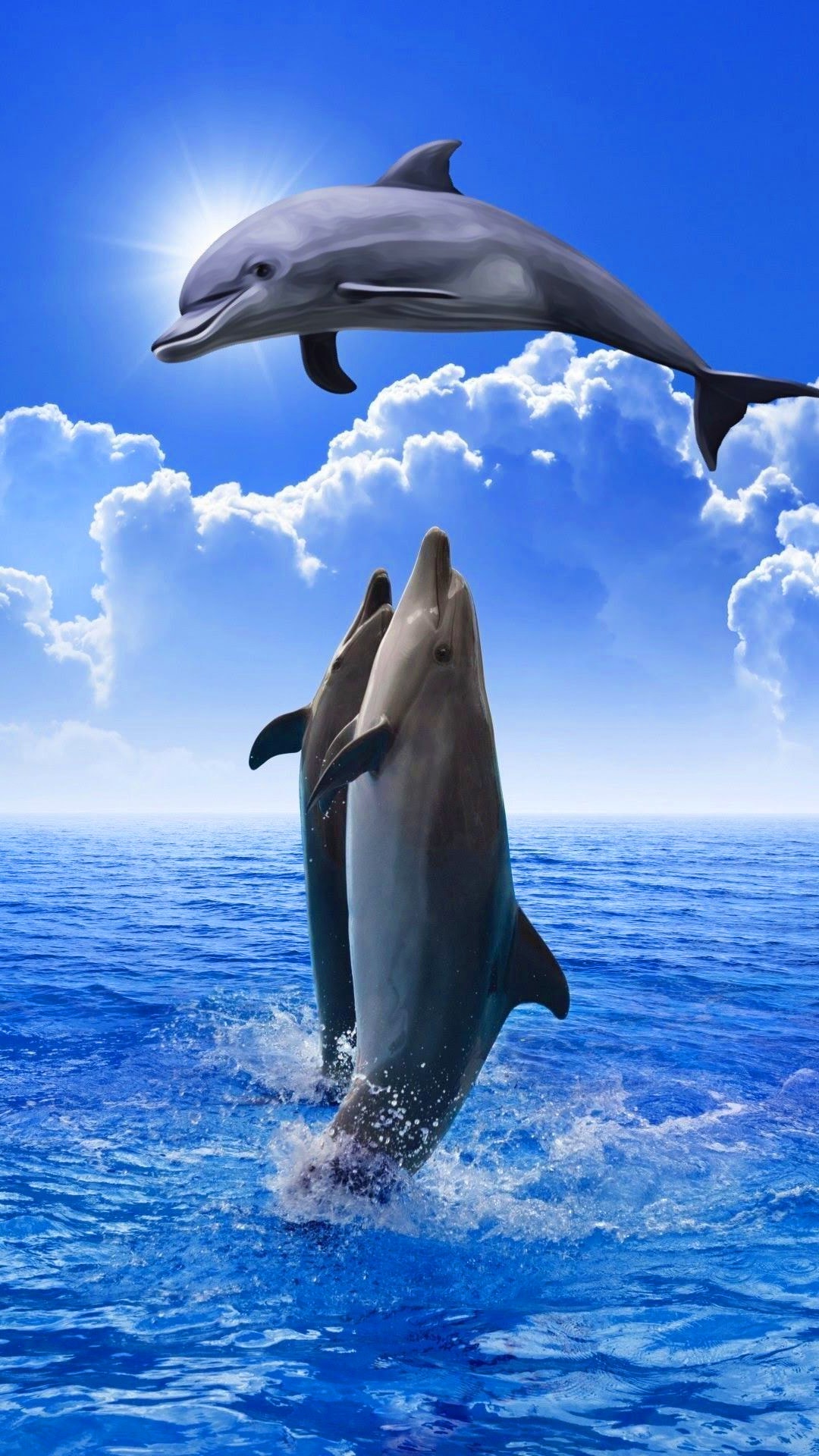 iPhone Dolphin Wallpaper