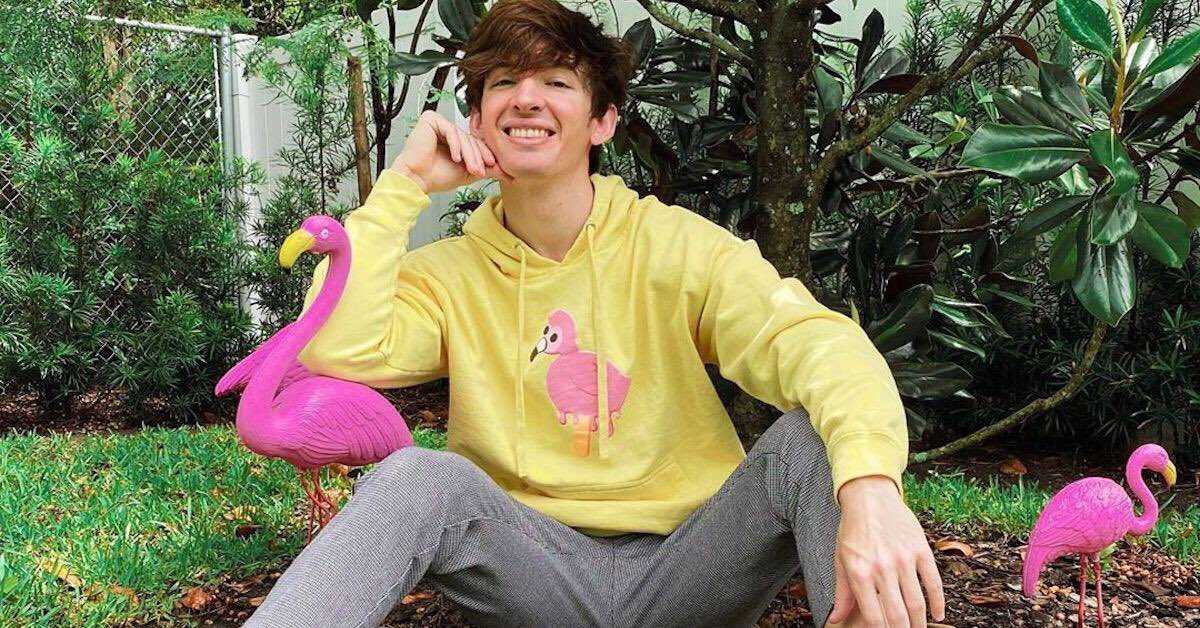 Albert Flamingo Background 1 Albert Flamingo Background 4