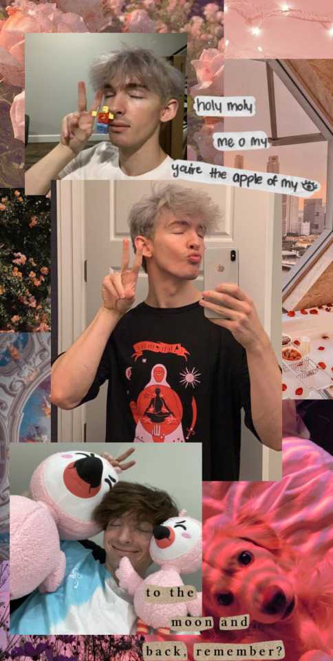 Albert Flamingo Background Images 1 Albert Flamingo Background Images