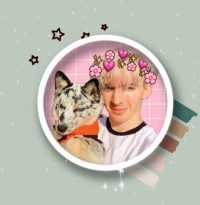 Albert Flamingo Wallpapers 2