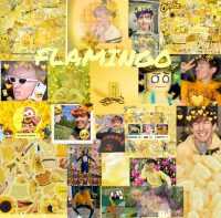 Albert Flamingo Wallpapers 4