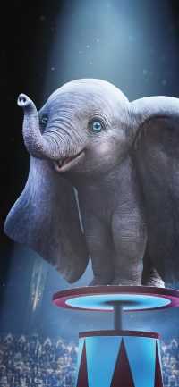 Baby Elephant Wallpaper 3