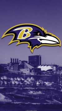 Baltimore Ravens Wallpaper 3