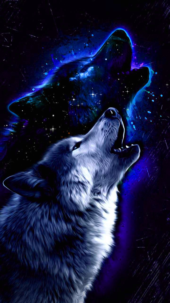 Cool Wolf Wallpaper - KoLPaPer - Awesome Free HD Wallpapers