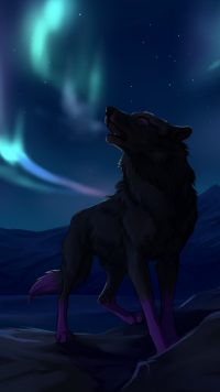 Cool Wolf Wallpapers