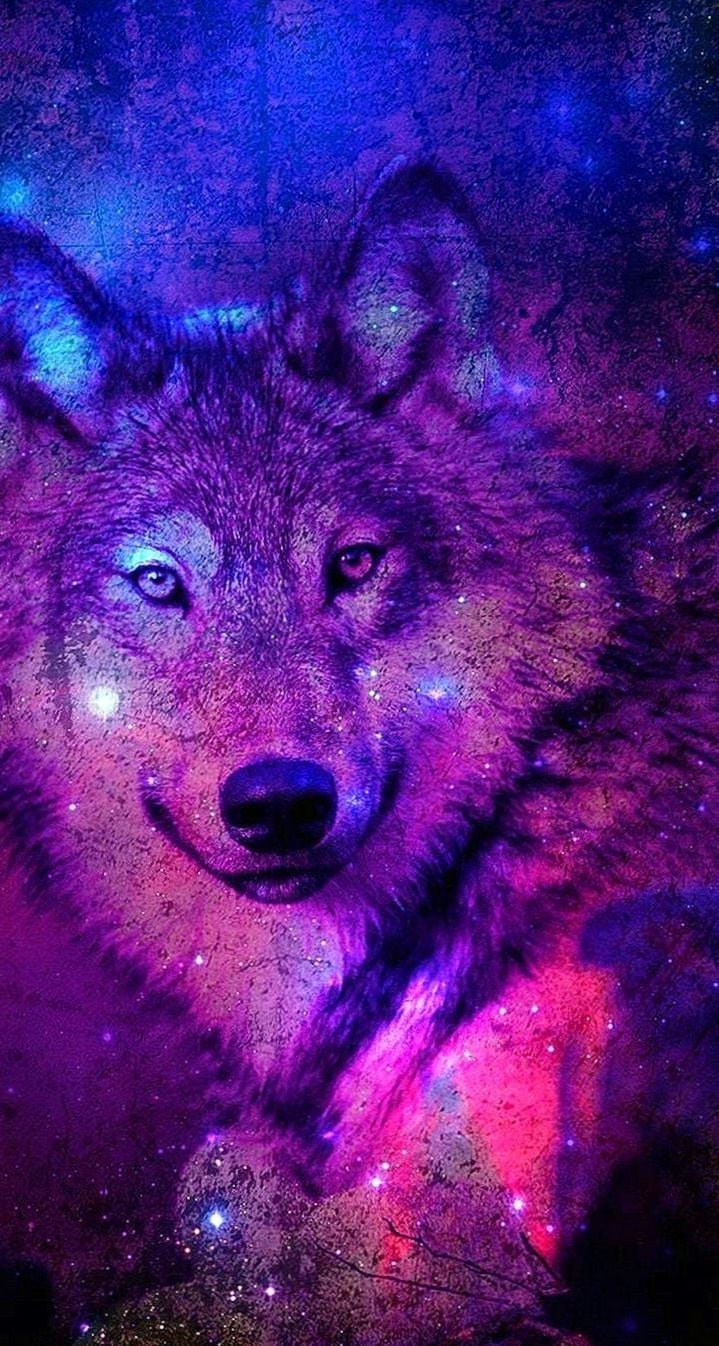 Cute Wolf Wallpaper - KoLPaPer - Awesome Free HD Wallpapers