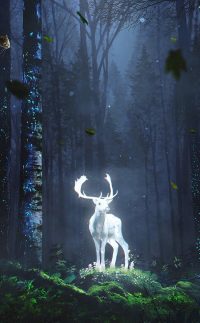 Deer Hunting Wallpaper 3