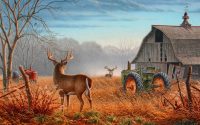 Deer Hunting Wallpaper HD