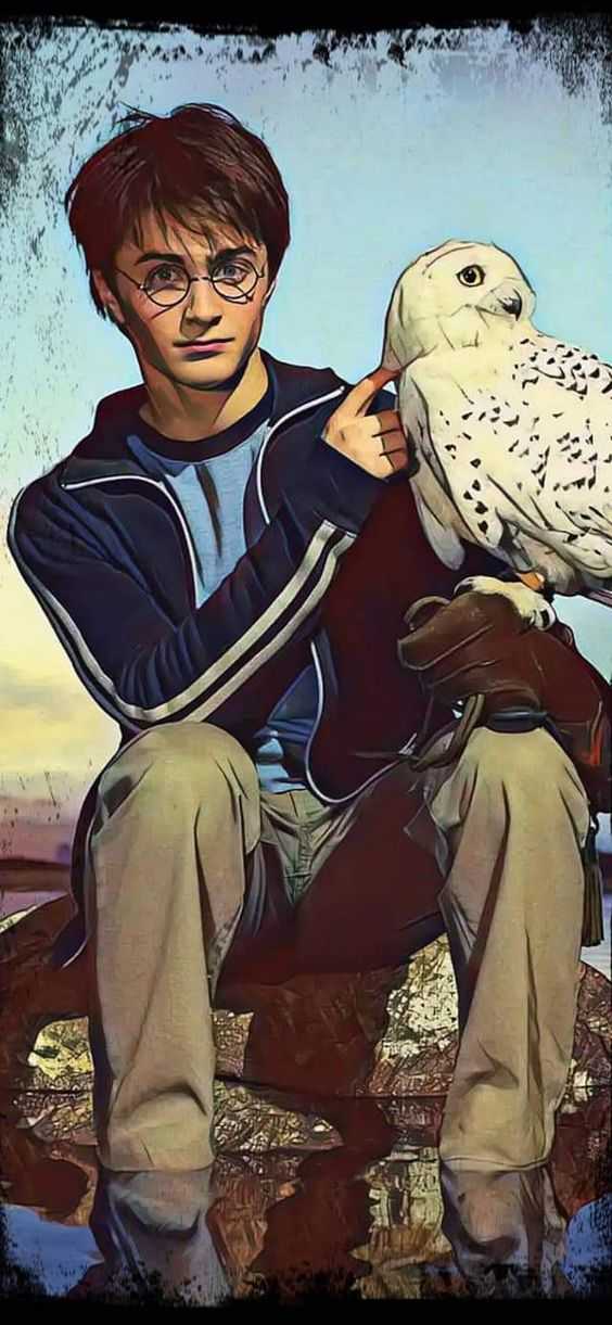 Harry Potter Background 1 Harry Potter Background 4