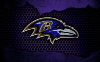 Ravens Wallpaper 4K