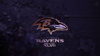 Ravens Wallpaper HD