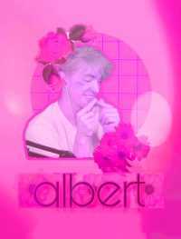 Wallpaper Flamingo Albert