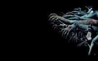 Zombie Desktop Wallpaper