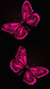 Butterfly Wallpaper 5
