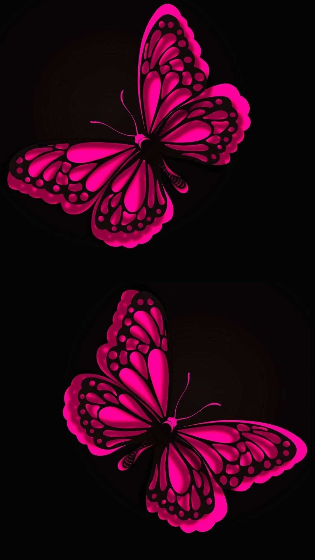 Butterfly Wallpaper 1 Butterfly Wallpaper 1