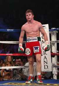Canelo Wallpaper 10