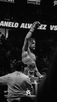 Canelo Wallpaper 9