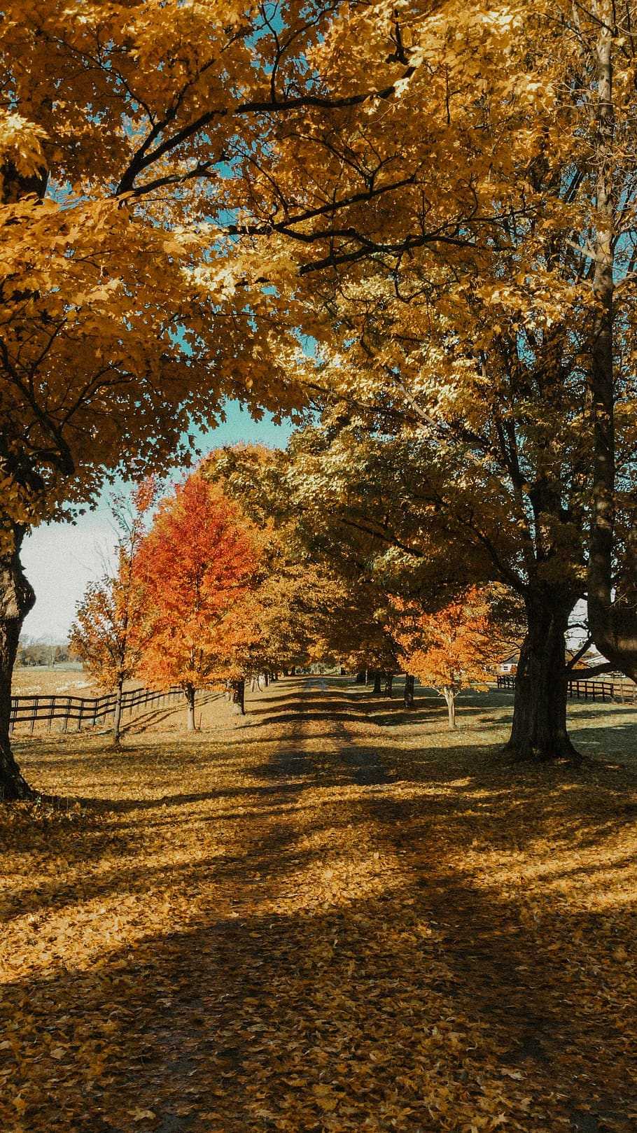 Country Wallpaper 1 Country Wallpaper 1