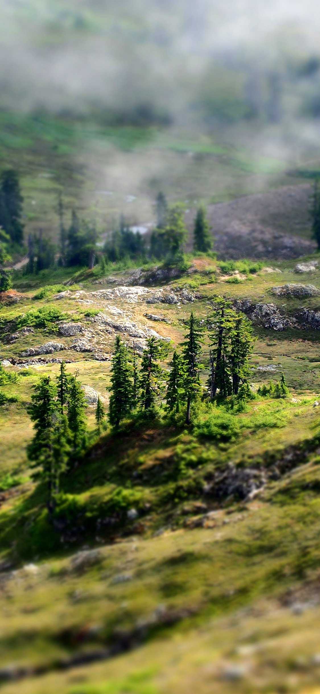 Country Wallpaper 1 Country Wallpaper 1