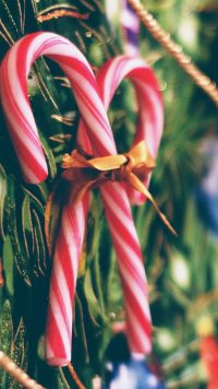 iPhone Candy Cane Wallpaper 2