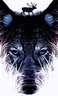 iPhone Cool Wolf Wallpaper