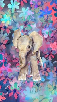 iPhone Elephant Wallpaper 3