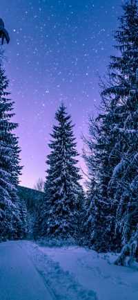 Snow Wallpaper 6