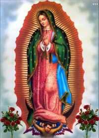Virgen De Guadalupe Wallpaper 6